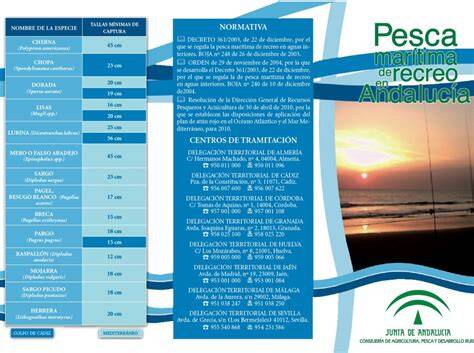 Requisitos Legales para PracticarKayakenAndalucía