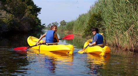 Beneficios de navegar en kayak en entornos pantanosos