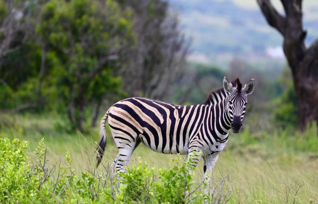Consejos de Seguridad y Buenas Prácticas en el Kayak